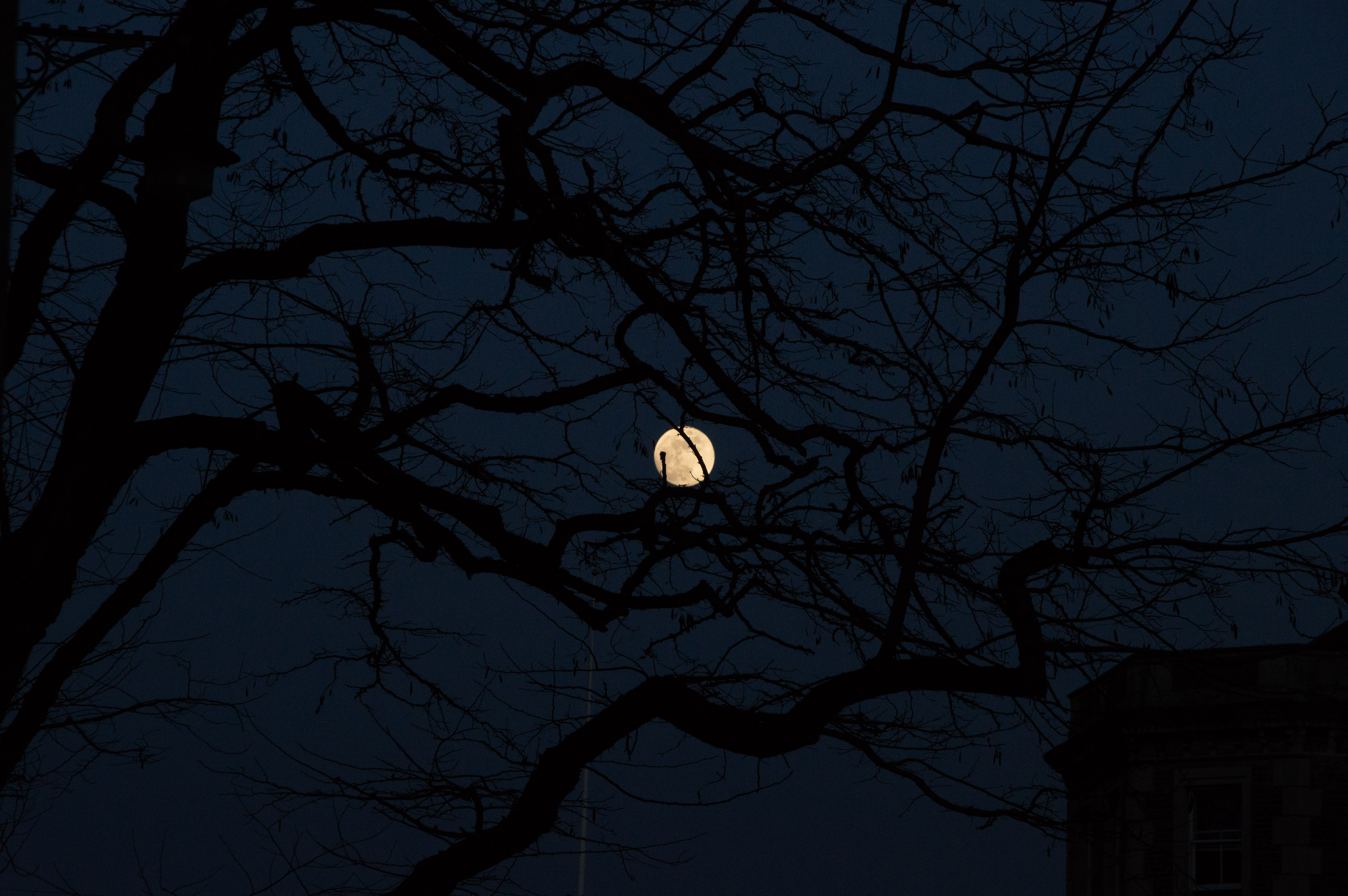 Winter Evening in Oxford